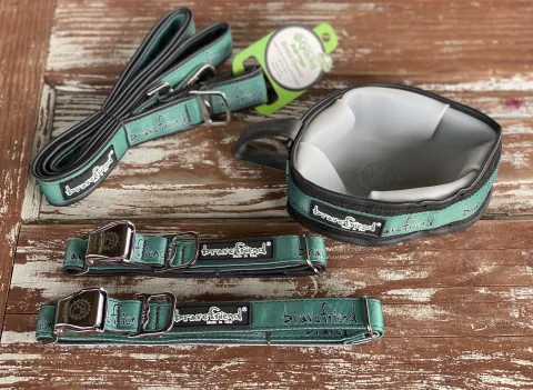 Bravefriend Dog Gear.jpg