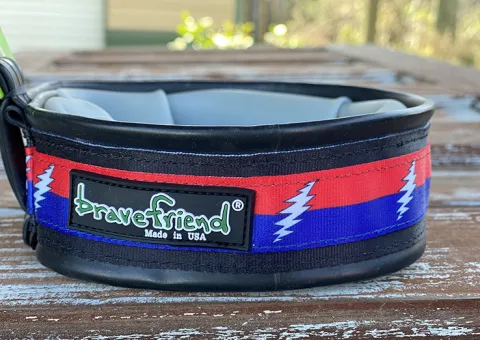 Lightning Bolt Dog Bowl.jpg