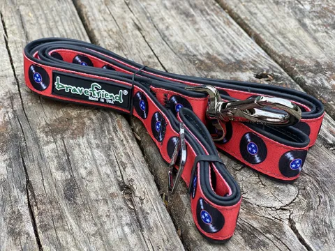 Vinyl Records Dog Leash.jpg