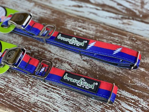 Lightning Bolt Dog Collar 3.jpg