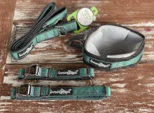 Bravefriend Dog Gear.jpg